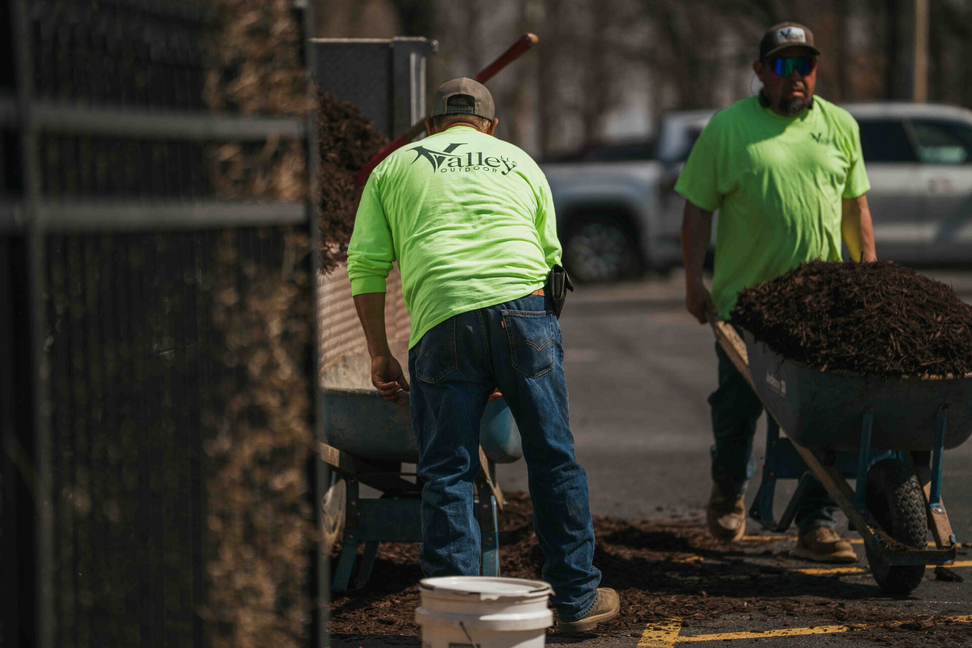 Landscaping crew hauling mulch with wheelbarrows on a client job
